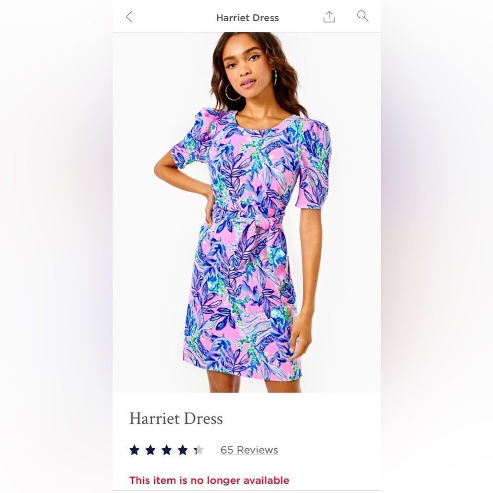NWT Sold Out Online The Harriet Dress SZ XL Retail $158
